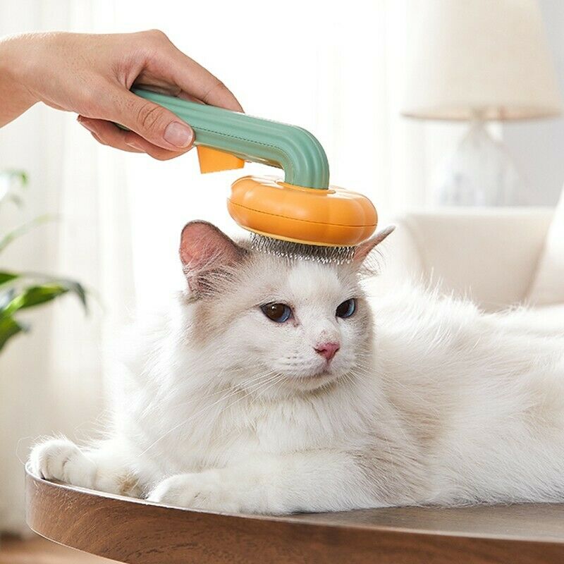 Self-Cleaning Slicker Brush