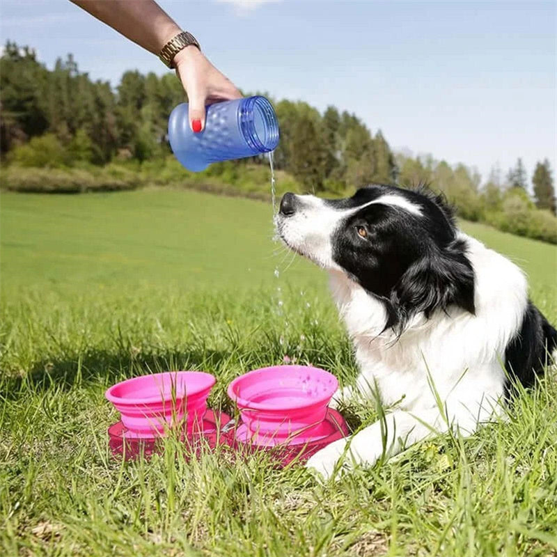 Foldable Double Pet Feeding Bowl